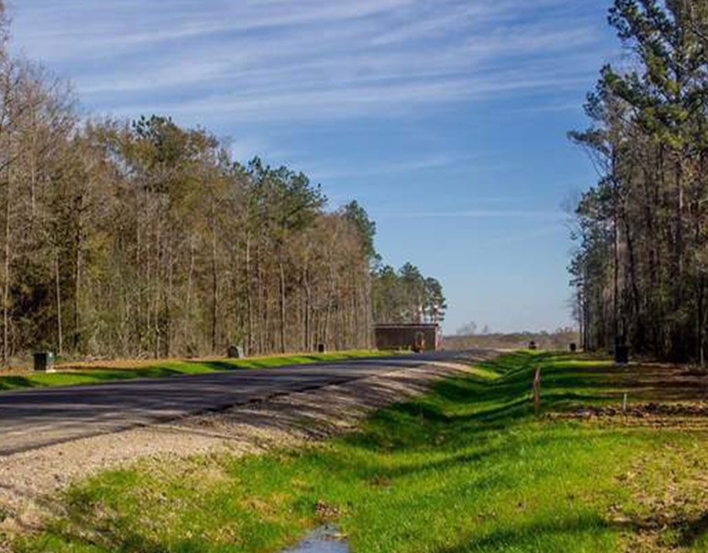 community image 03